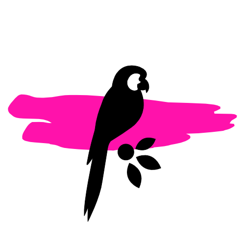 conseil plus ancien concours