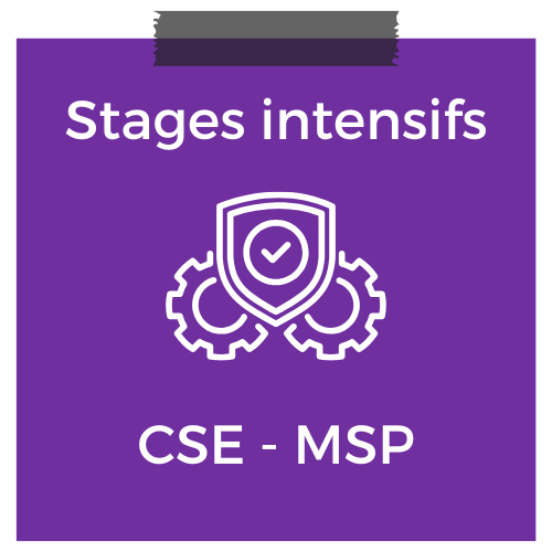 Stages intensifs CSE - MSP crpe 2026